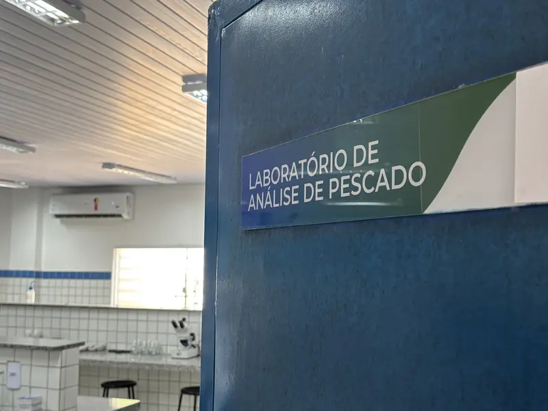 Da mineração aos grãos: Porto Piauí impulsiona nova fase da economia no estado