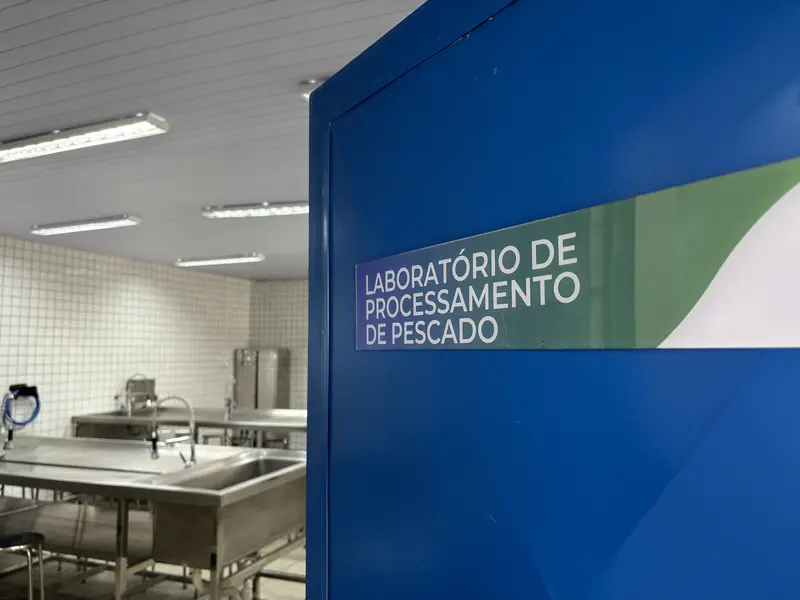 Da mineração aos grãos: Porto Piauí impulsiona nova fase da economia no estado