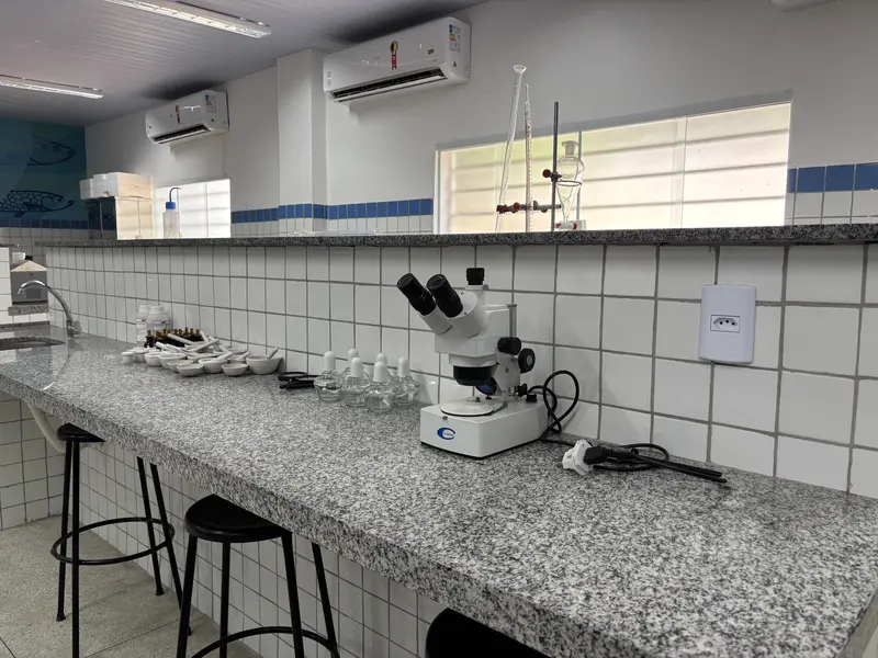 Da mineração aos grãos: Porto Piauí impulsiona nova fase da economia no estado