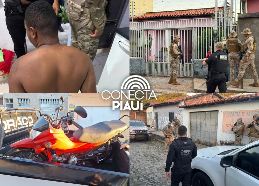 Delegado detalha esquema de furto e adulteração de motos da Operação Cheval