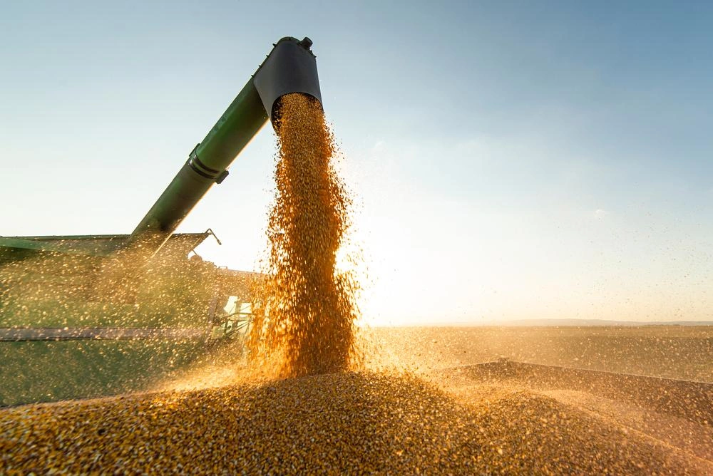 Exportações do Piauí crescem 13% em junho e superávit chega a US$ 116,8 milhões