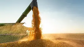 Exportações do Piauí crescem 13% em junho e superávit chega a US$ 116,8 milhões (Foto: Reprodução)