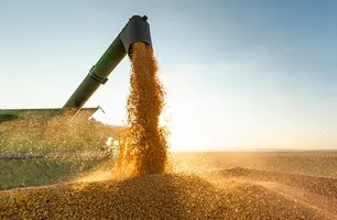 Exportações do Piauí crescem 13% em junho e superávit chega a US$ 116,8 milhões (Foto: Reprodução)