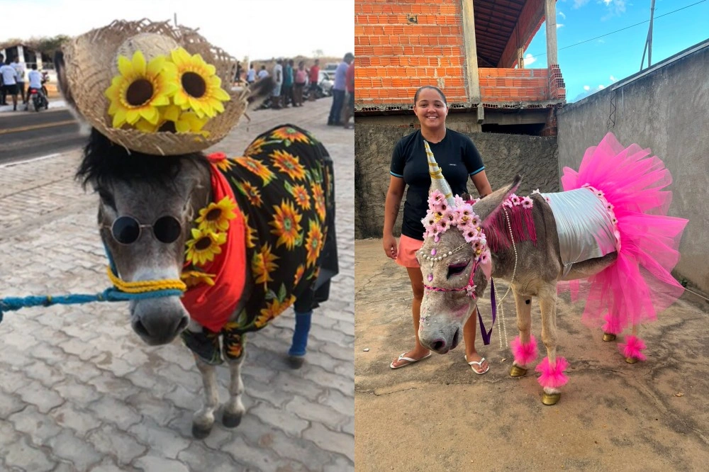 Fé, tradição e festa marcam os 72 anos de Pimenteiras