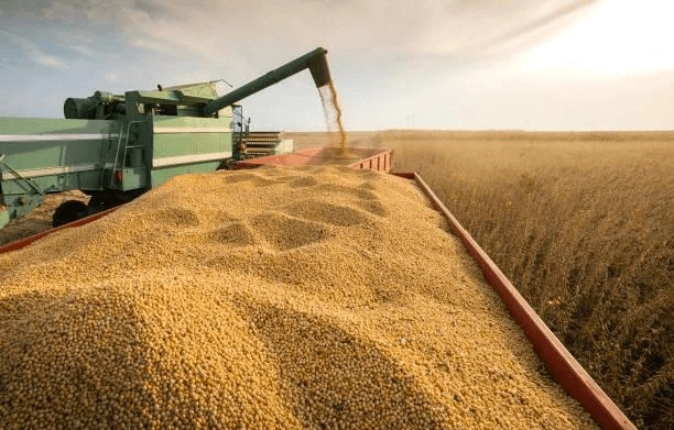 Financial Times diz que Brasil pode superar EUA no comércio agrícola mundial