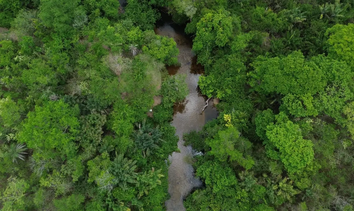 Floresta Amazônica