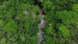 Floresta Amazônica (Foto: Fernando Frazão/Agência Brasil)