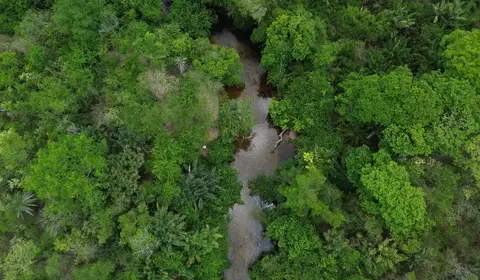 Floresta Amazônica