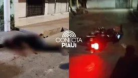 Homem é executado a tiros após perseguição na Vila Bagdá, em Teresina (Foto: Reprodução)