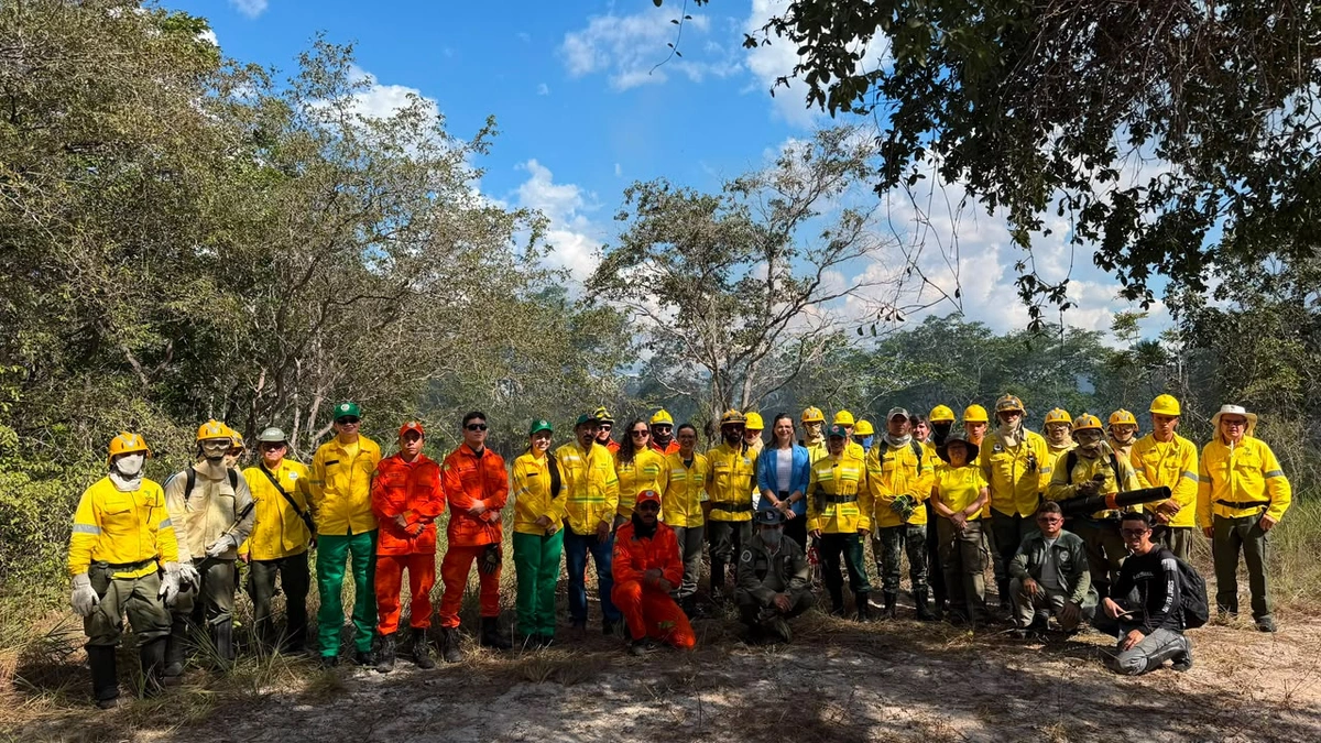 Ibama acompanha pesquisa sobre manejo do fogo em Sete Cidades no Piauí