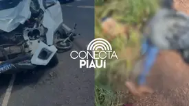 Mãe e filho morrem em grave acidente entre moto e caminhonete na BR-343 (Foto: Reprodução)