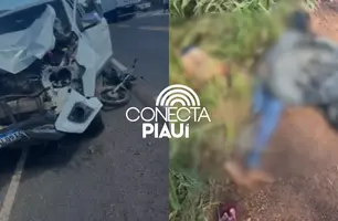 Mãe e filho morrem em grave acidente entre moto e caminhonete na BR-343 (Foto: Reprodução)