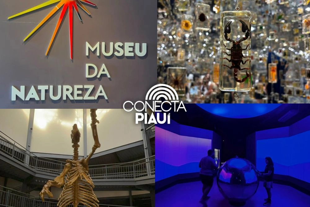 Museu da Natureza encanta visitantes com experiência imersiva na Serra da Capivara