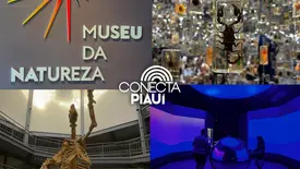 Museu da Natureza encanta visitantes com experiência imersiva na Serra da Capivara (Foto: Conecta Piauí)