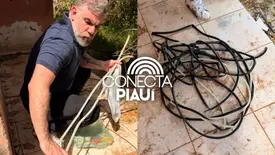 Polícia Civil realiza prisão em flagrante por furtos em Altos (Foto: Reprodução)