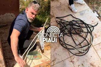 Polícia Civil realiza prisão em flagrante por furtos em Altos