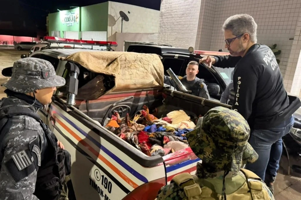 Polícia desarticula rinha de galos e apreende mais de 50 aves em Timon