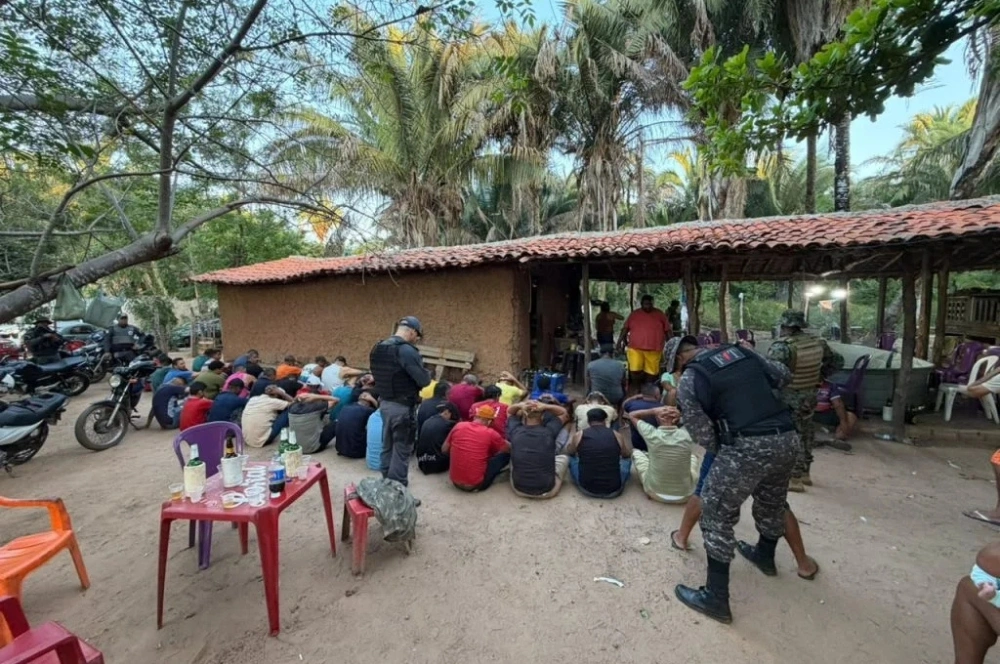 Polícia desarticula rinha de galos e apreende mais de 50 aves em Timon