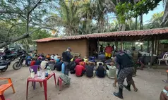 Polícia desarticula rinha de galos e apreende mais de 50 aves em Timon