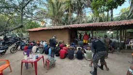 Polícia desarticula rinha de galos e apreende mais de 50 aves em Timon (Foto: Reprodução/PM-MA)