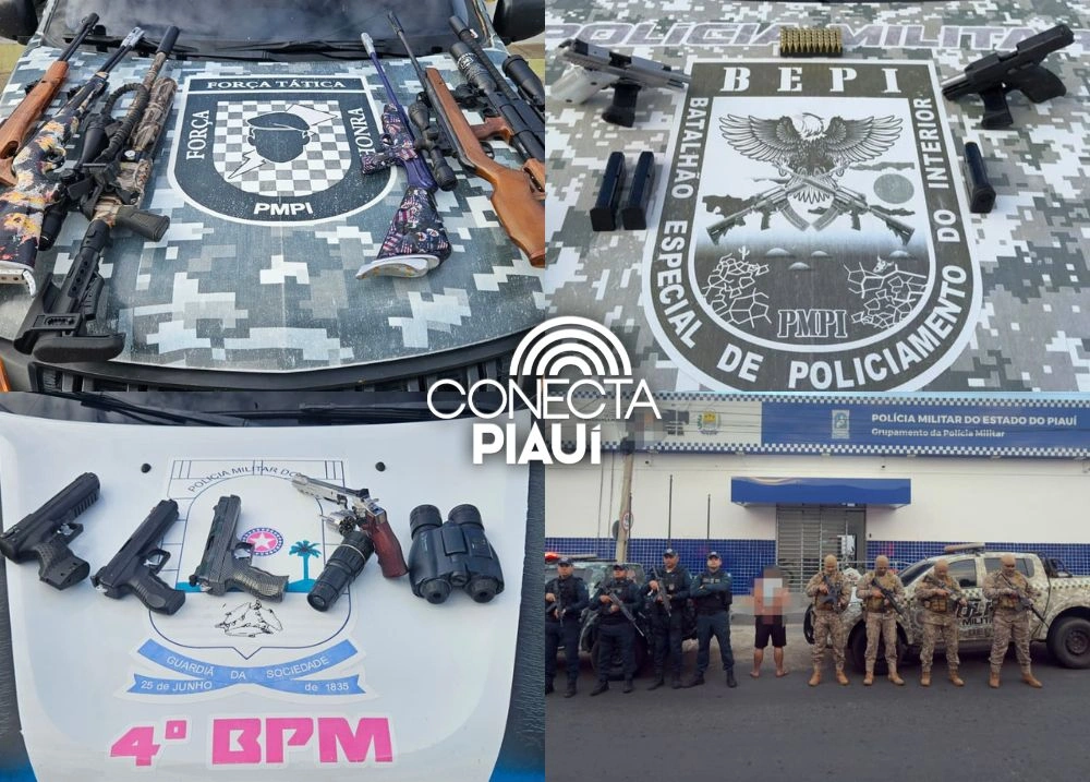 Polícia Militar apreende armas e mais de 100 munições durante operação em Pio IX