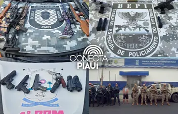 Polícia Militar apreende armas e mais de 100 munições durante operação em Pio IX