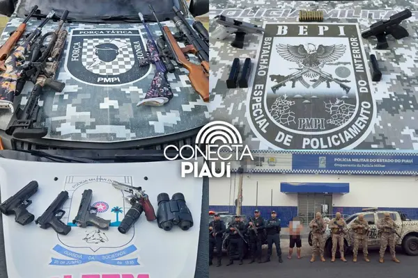 Polícia Militar apreende armas e mais de 100 munições durante operação em Pio IX