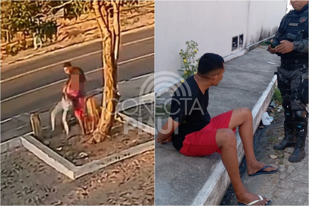 Polícia prende homem que atacou mulher em parada de ônibus de Parnaíba