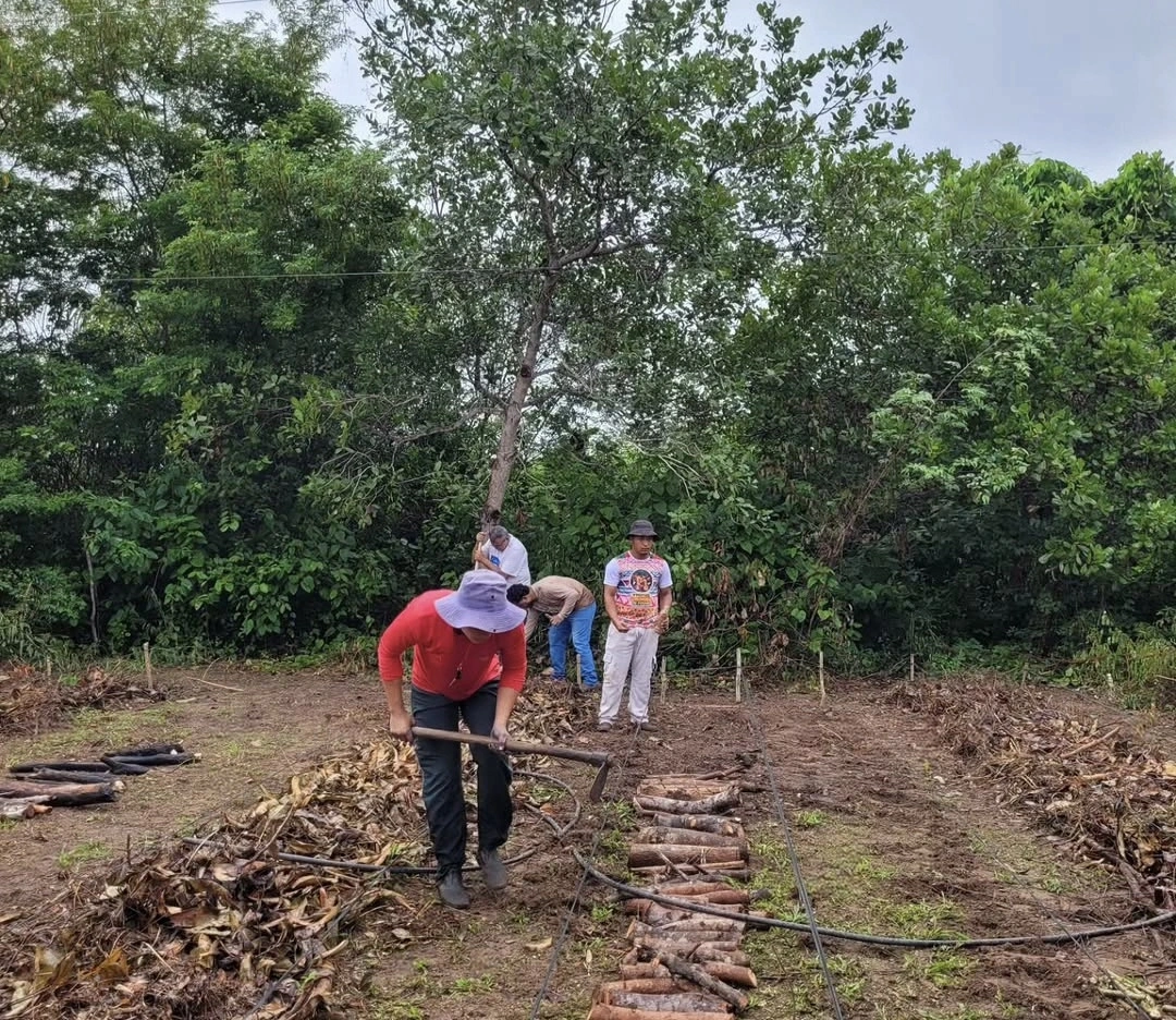 Projetos da UESPI fortalecem agricultura familiar no Piauí através da agroecologia