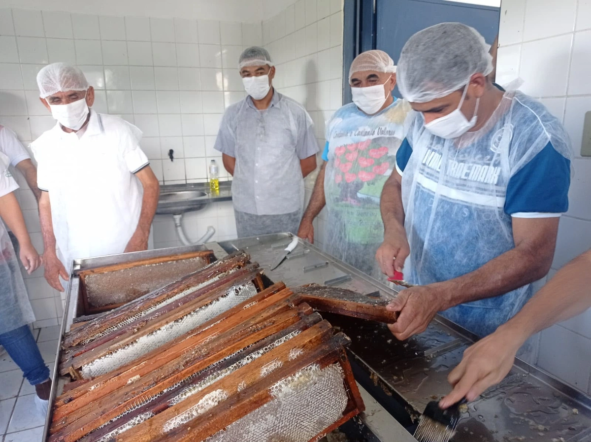 São Raimundo Nonato recebe encontro sobre apicultura e agricultura familiar