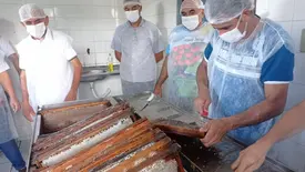 São Raimundo Nonato recebe encontro sobre apicultura e agricultura familiar (Foto: Reprodução)