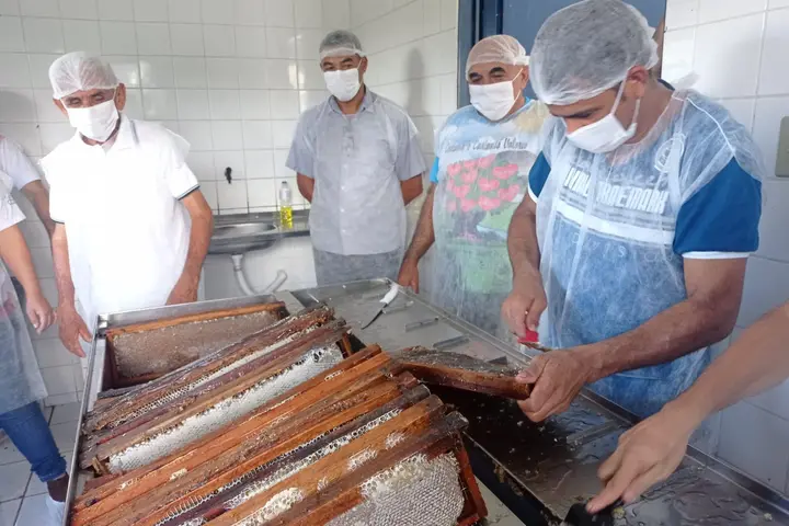 São Raimundo Nonato recebe encontro sobre apicultura e agricultura familiar