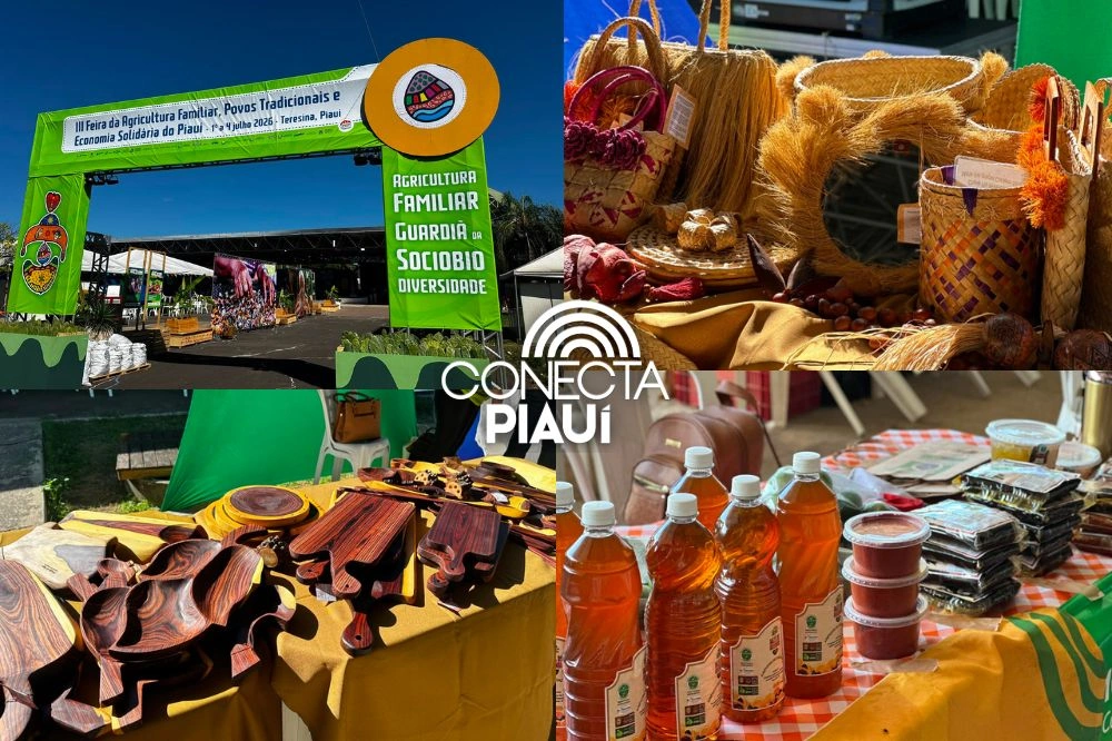 Segundo dia de Feira da Agricultura Familiar fortalece negócios no Piauí