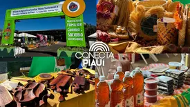 Segundo dia de Feira da Agricultura Familiar fortalece negócios no Piauí (Foto: Conecta Piauí)