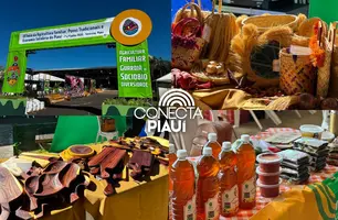 Segundo dia de Feira da Agricultura Familiar fortalece negócios no Piauí (Foto: Conecta Piauí)