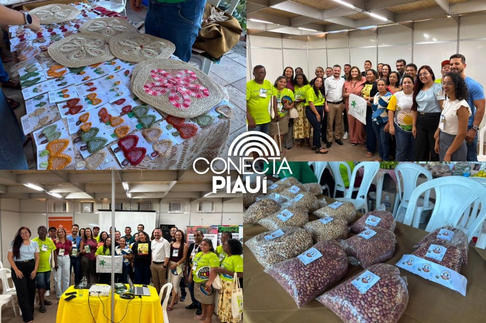Selo Biocombustível Social amplia oportunidades para agricultura familiar no Piauí