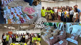Selo Biocombustível Social amplia oportunidades para agricultura familiar no Piauí (Foto: Conecta Piauí)