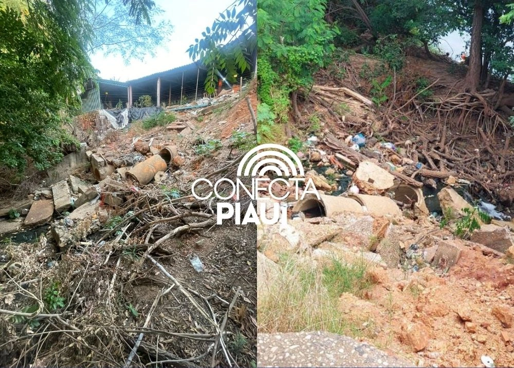 Sem intervenção da Prefeitura, erosão ameaça estrutura de ONG na av. Maranhão
