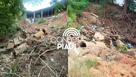 Sem intervenção da Prefeitura, erosão ameaça estrutura de ONG na av. Maranhão (Foto: Conecta Piauí)