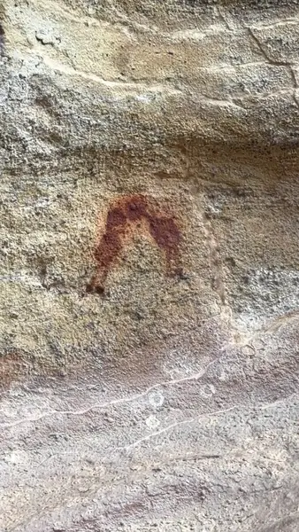 Serra da Capivara guarda a maior concentração de pinturas rupestres do mundo