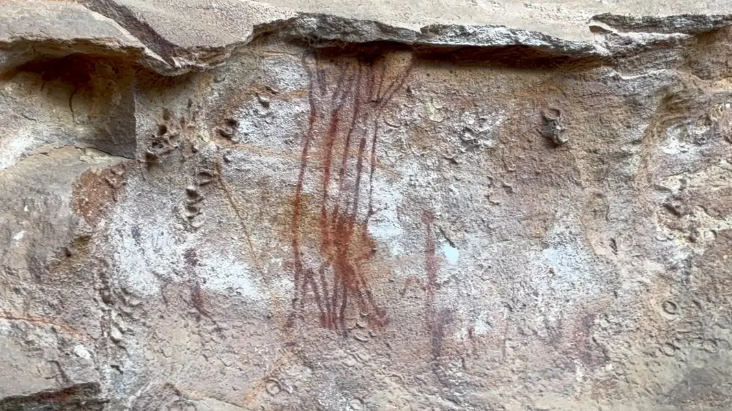 Serra da Capivara guarda a maior concentração de pinturas rupestres do mundo