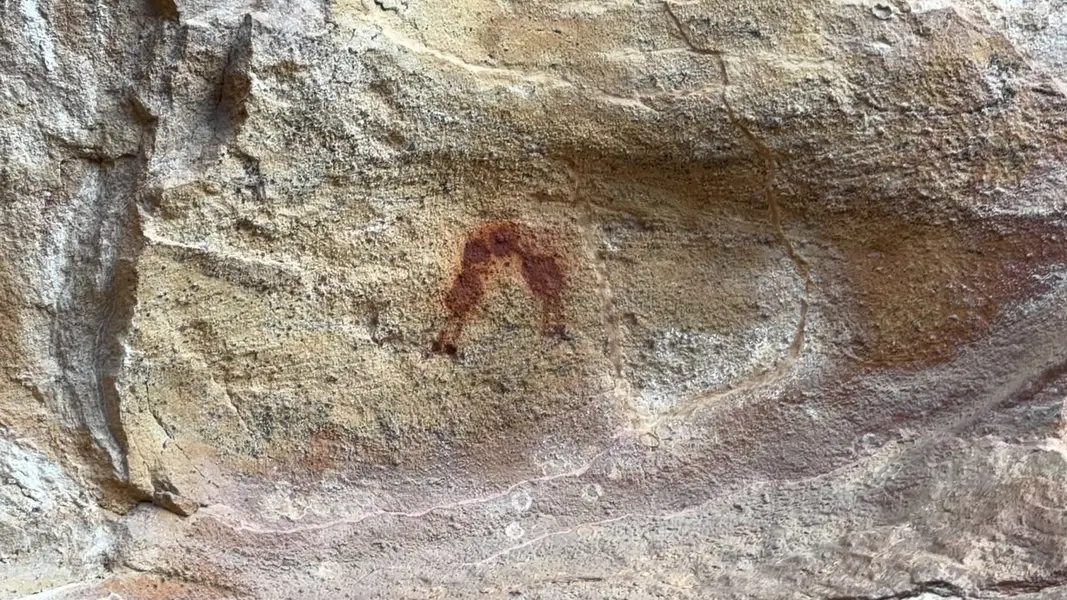 Serra da Capivara guarda a maior concentração de pinturas rupestres do mundo