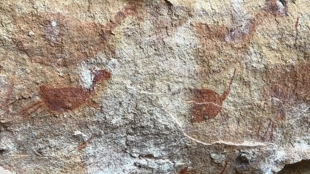 Serra da Capivara guarda a maior concentração de pinturas rupestres do mundo