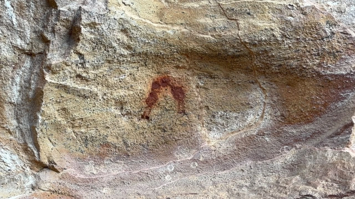 Serra da Capivara guarda a maior concentração de pinturas rupestres do mundo