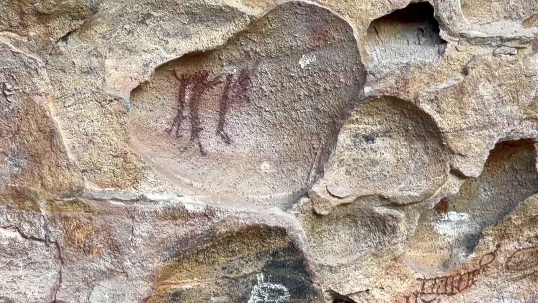Serra da Capivara guarda a maior concentração de pinturas rupestres do mundo