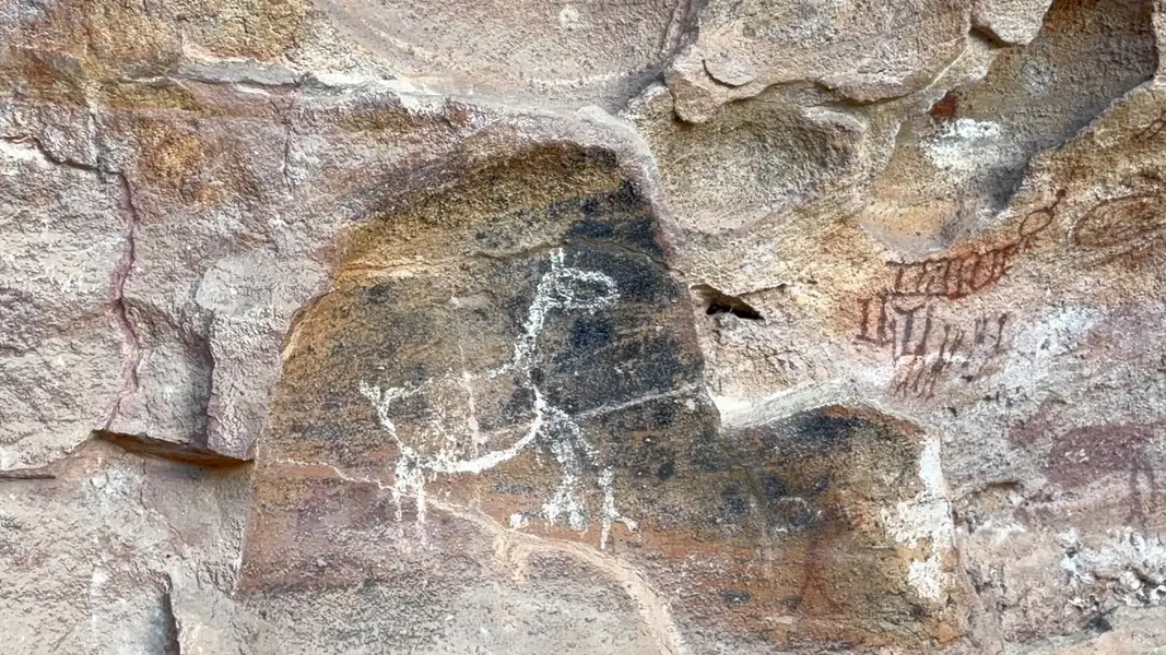 Serra da Capivara guarda a maior concentração de pinturas rupestres do mundo