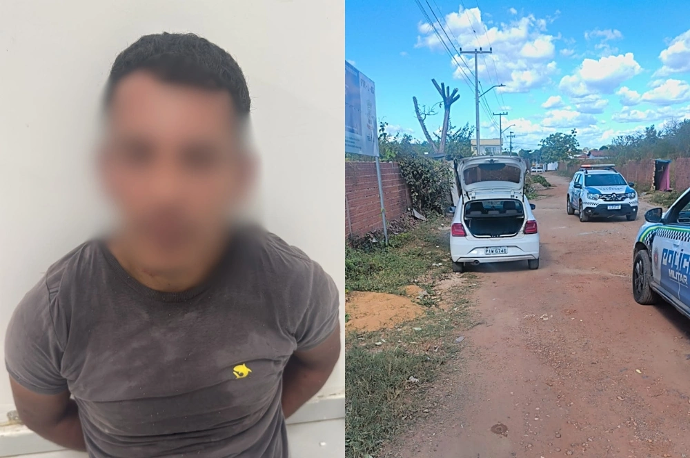Suspeito de roubar carro é preso após ser atacado por enxame de abelhas em Teresina