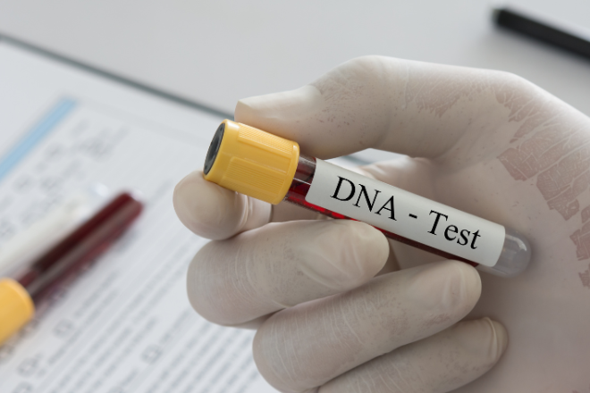 Teste de DNA