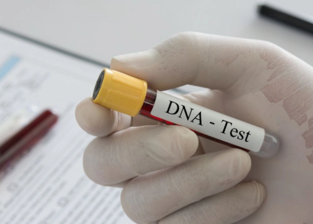 TJ-PI abre inscrições para mutirão gratuito de reconhecimento de paternidade no Piauí