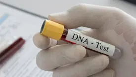 TJ-PI abre inscrições para mutirão gratuito de reconhecimento de paternidade no Piauí (Foto: Reprodução)